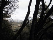 04152011_Lori and Rons_31